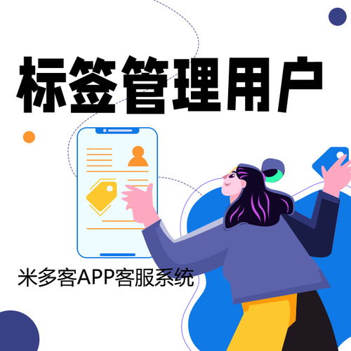 APP客服系统核心功能解析 全方位赋能信息系统运行维护服务